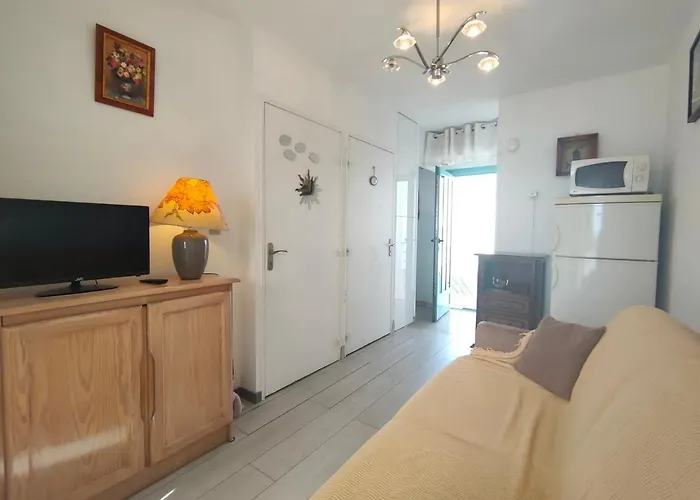 Appartamento T1 Au Calme Avec Clim Et Parking Privé - Fr-1-503-171 *