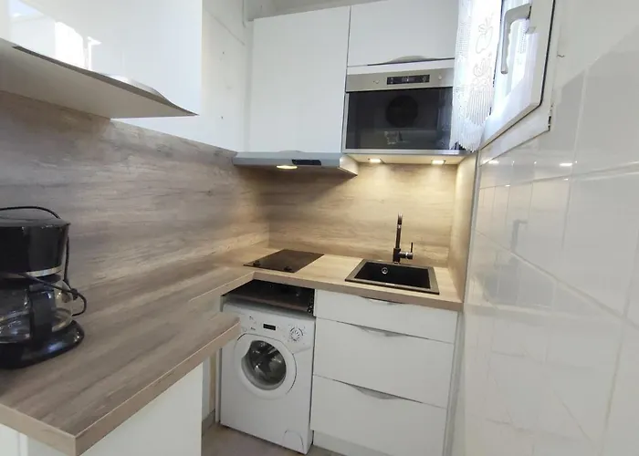 Apartamento T1 Calme Avec Parking Et Climatisation à - Fr-1-503-171 *